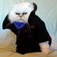 Illustration for article titled Purrlock Holmes